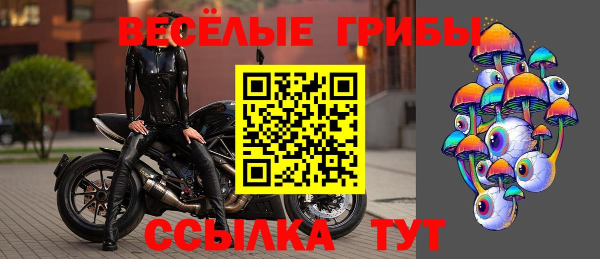 Зерноград  Галлюциногенные грибы мицелий  цены   Вход с VPN 
